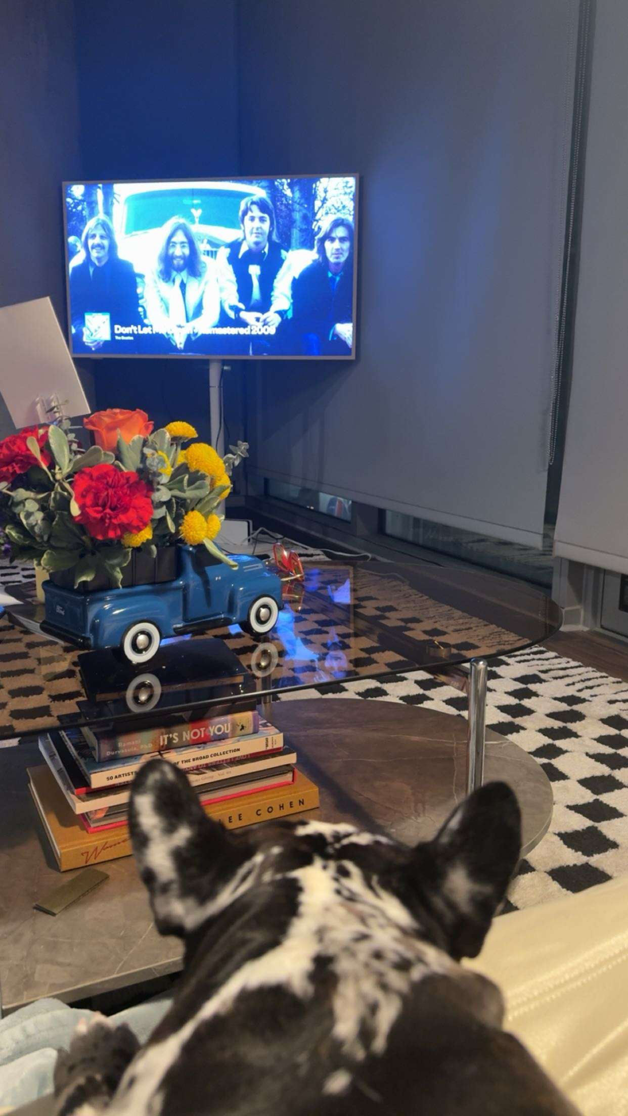 realhaylujan snapchat image archive image