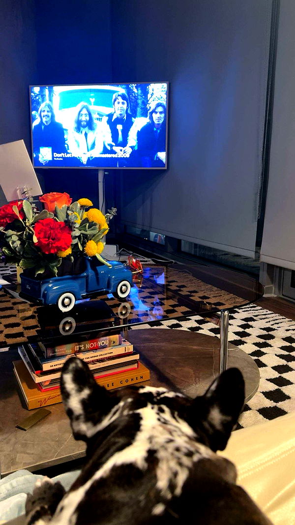 realhaylujan image ~ Altpins