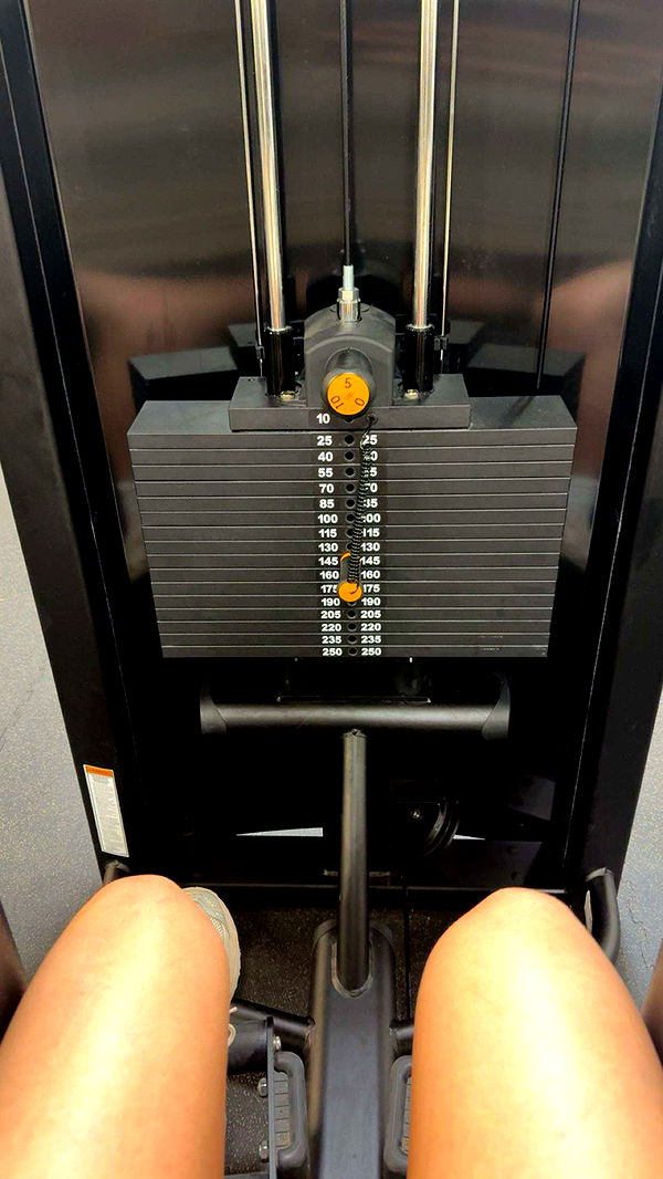 realhaylujan image ~ Altpins