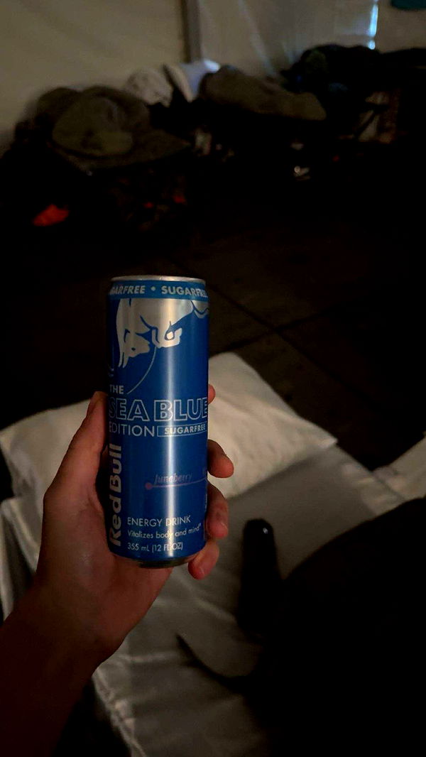 realhaylujan image ~ Altpins