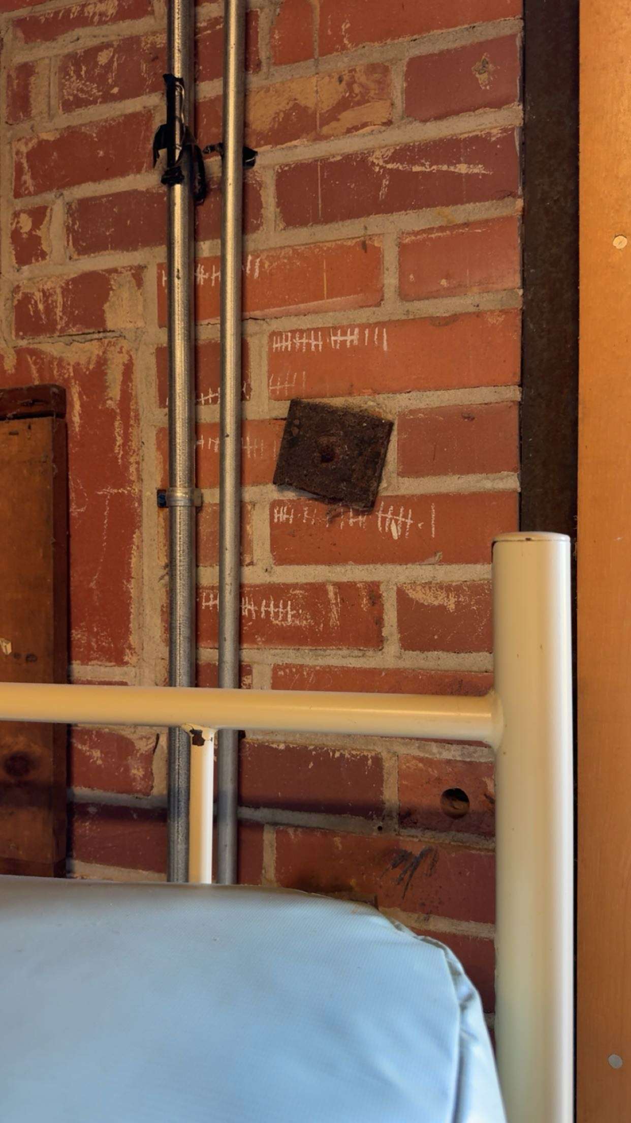 realhaylujan snapchat image archive image