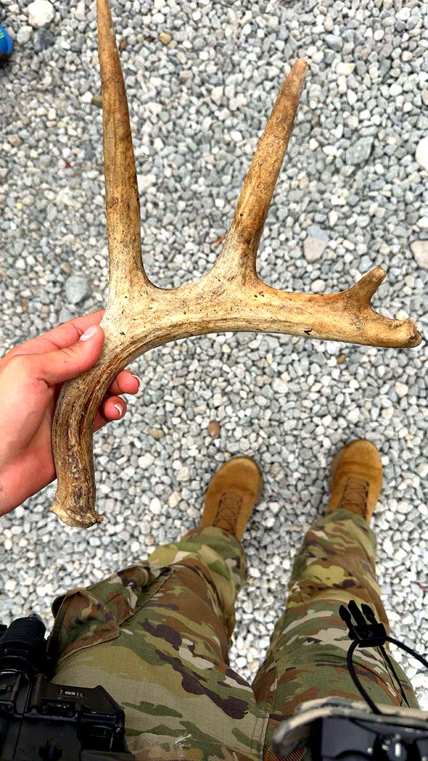 realhaylujan image ~ Altpins