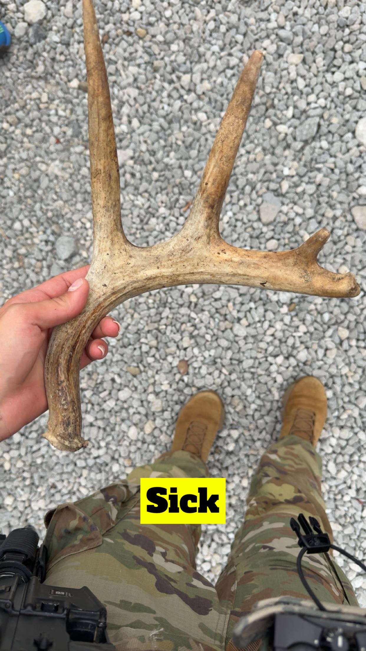 realhaylujan snapchat image archive image