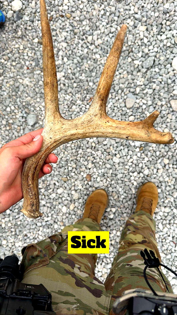 realhaylujan image ~ Altpins