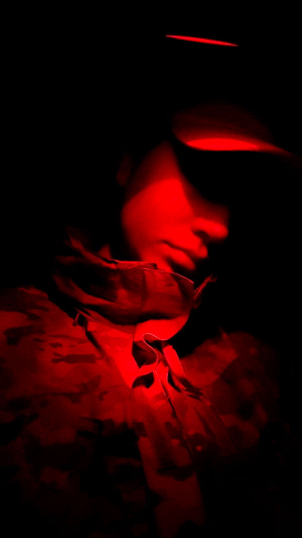 realhaylujan image ~ Altpins