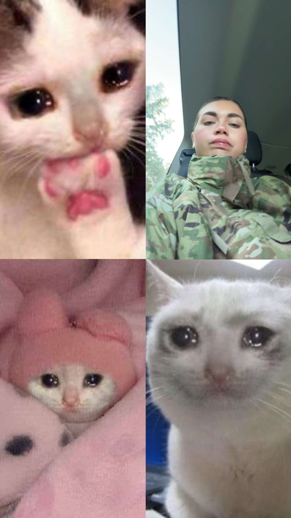 realhaylujan snapchat image archive image