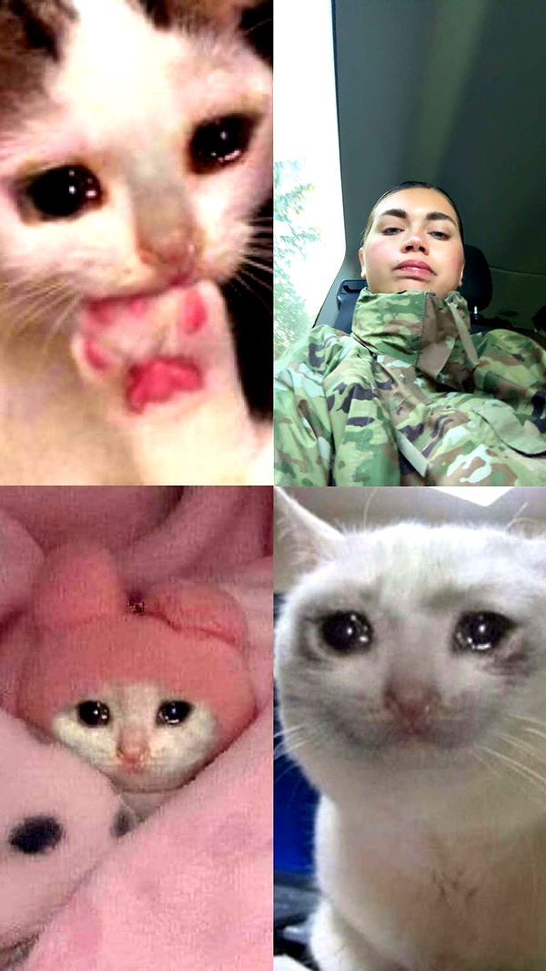 realhaylujan image ~ Altpins