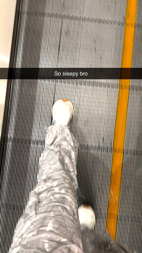 realhaylujan image ~ Altpins