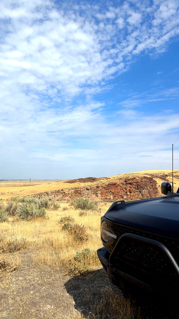 realhaylujan image ~ Altpins