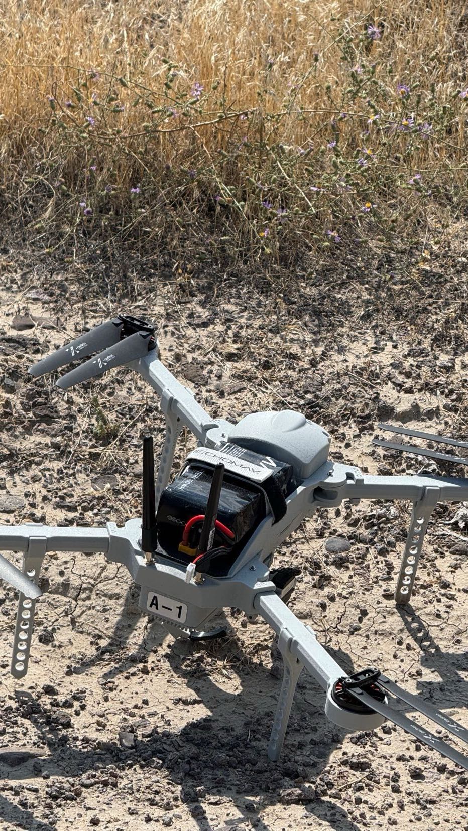 realhaylujan snapchat image archive image