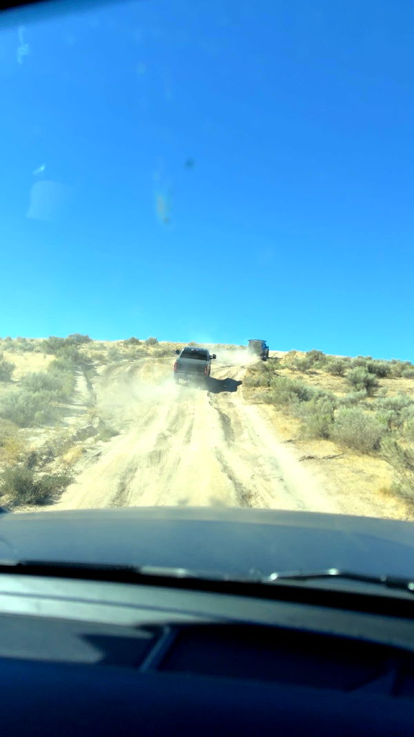 realhaylujan image ~ Altpins