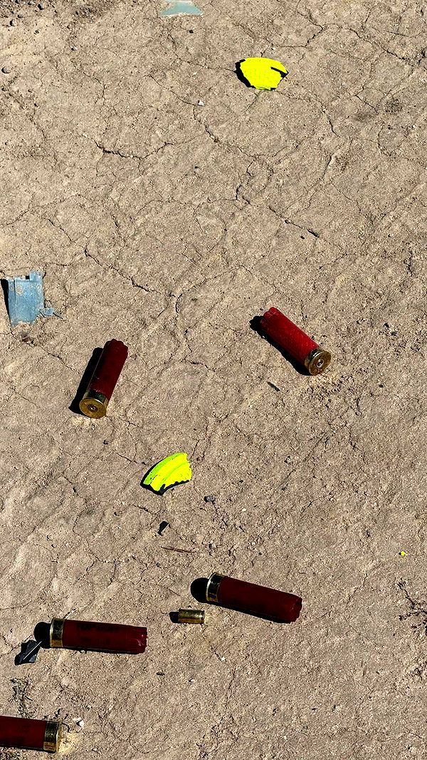 realhaylujan image ~ Altpins