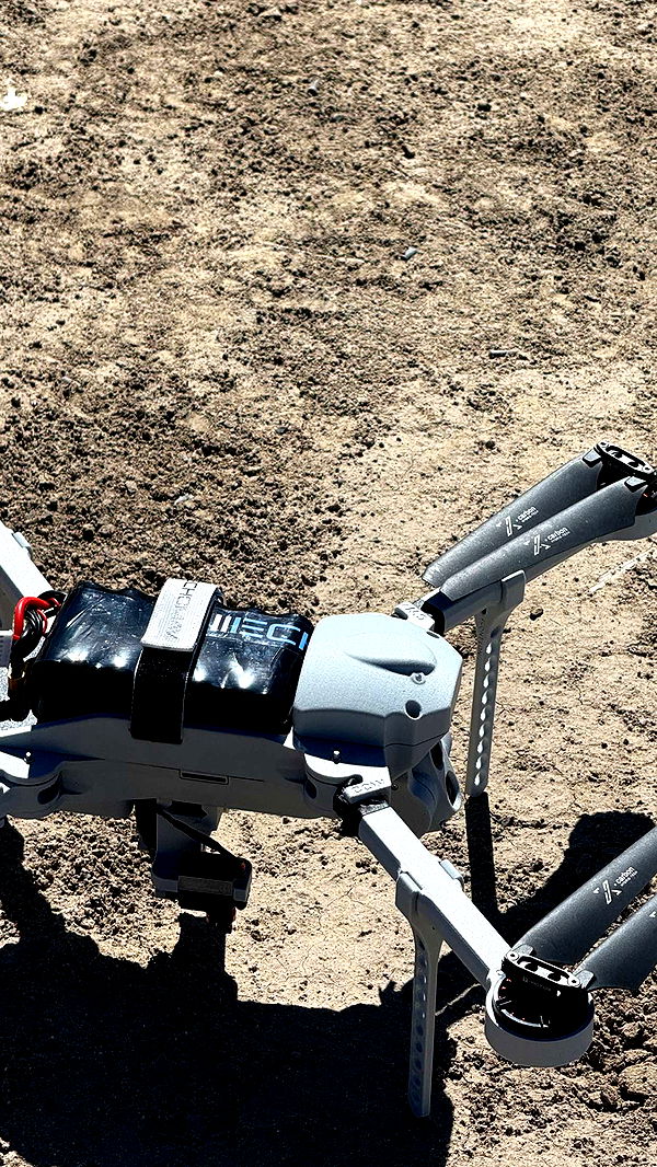 realhaylujan image ~ Altpins