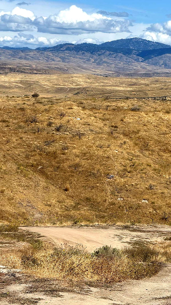 realhaylujan image ~ Altpins