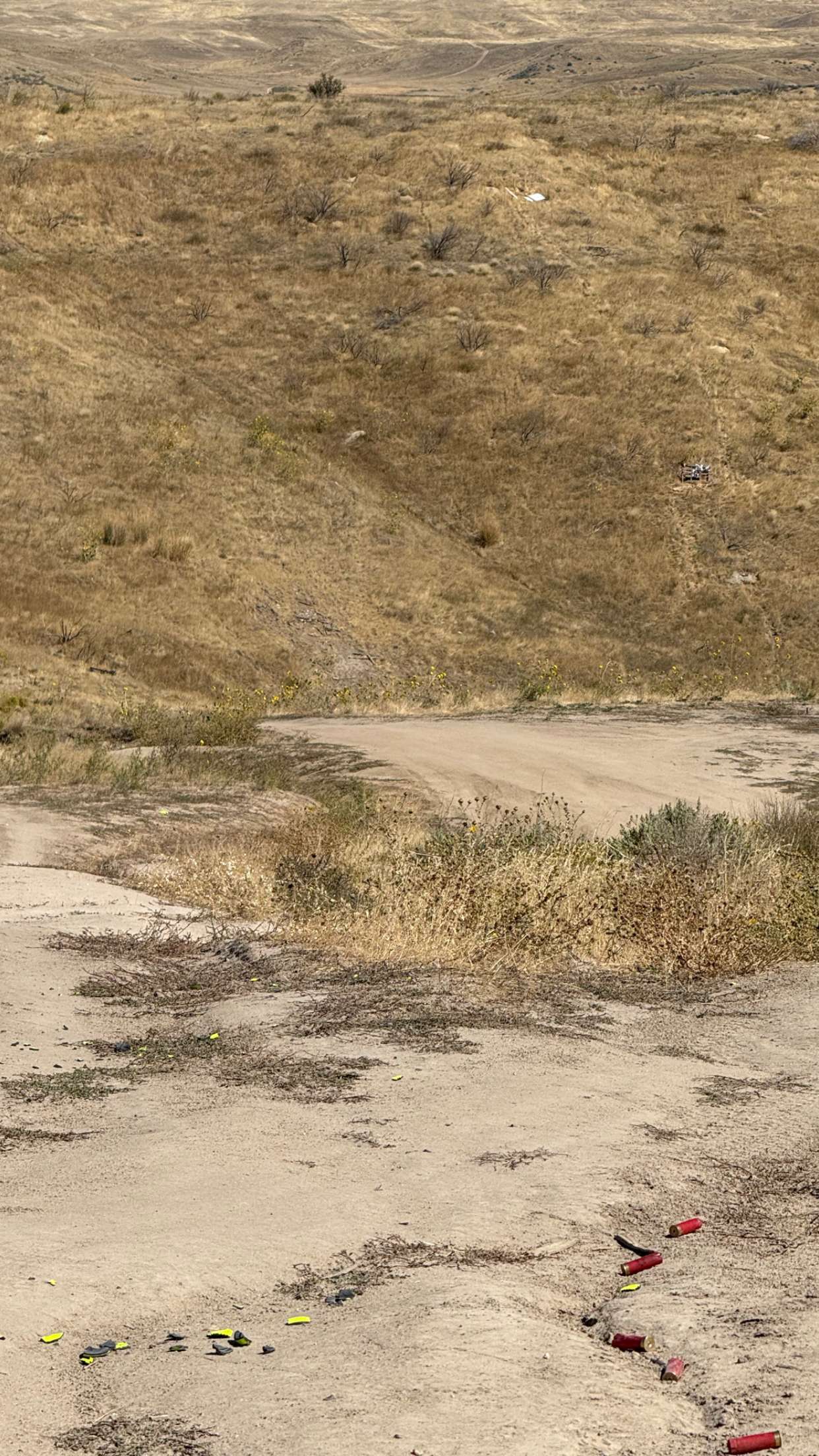 realhaylujan snapchat image archive image