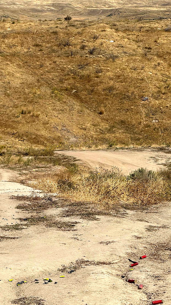 realhaylujan image ~ Altpins