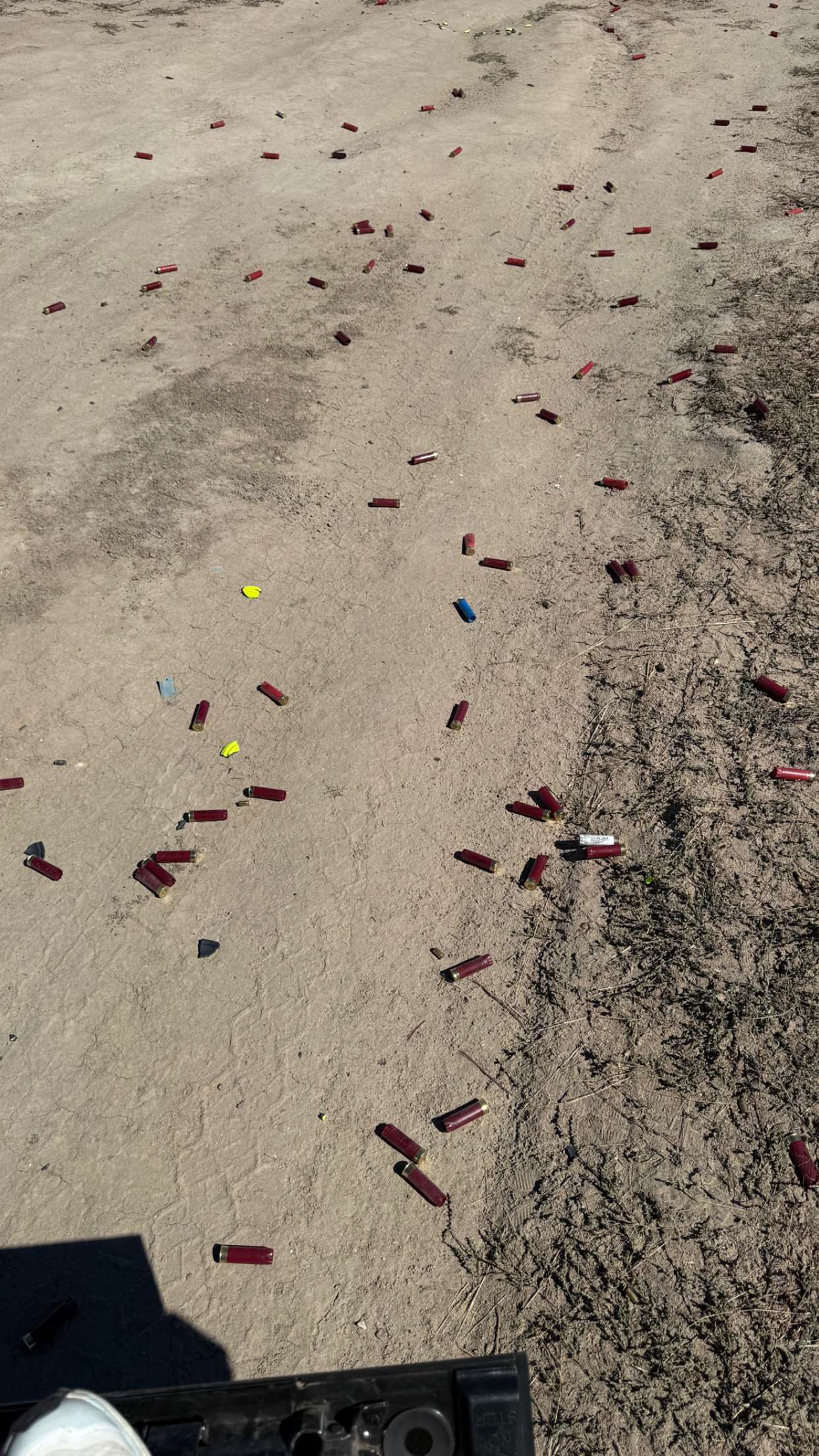 realhaylujan snapchat image archive image