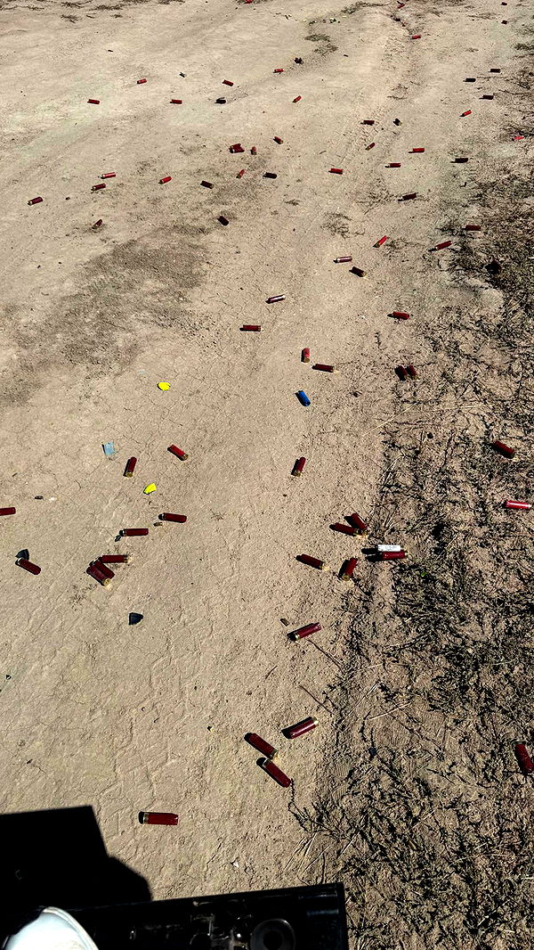 realhaylujan image ~ Altpins