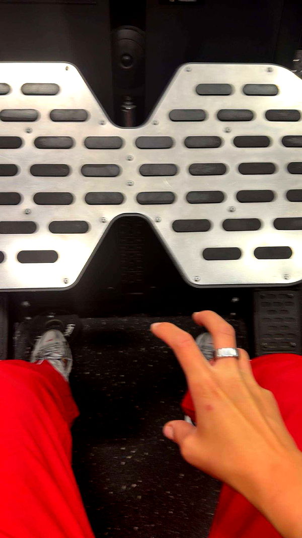 realhaylujan image ~ Altpins