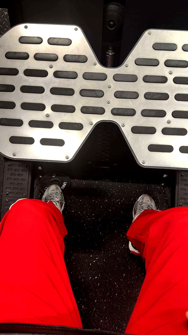 realhaylujan image ~ Altpins