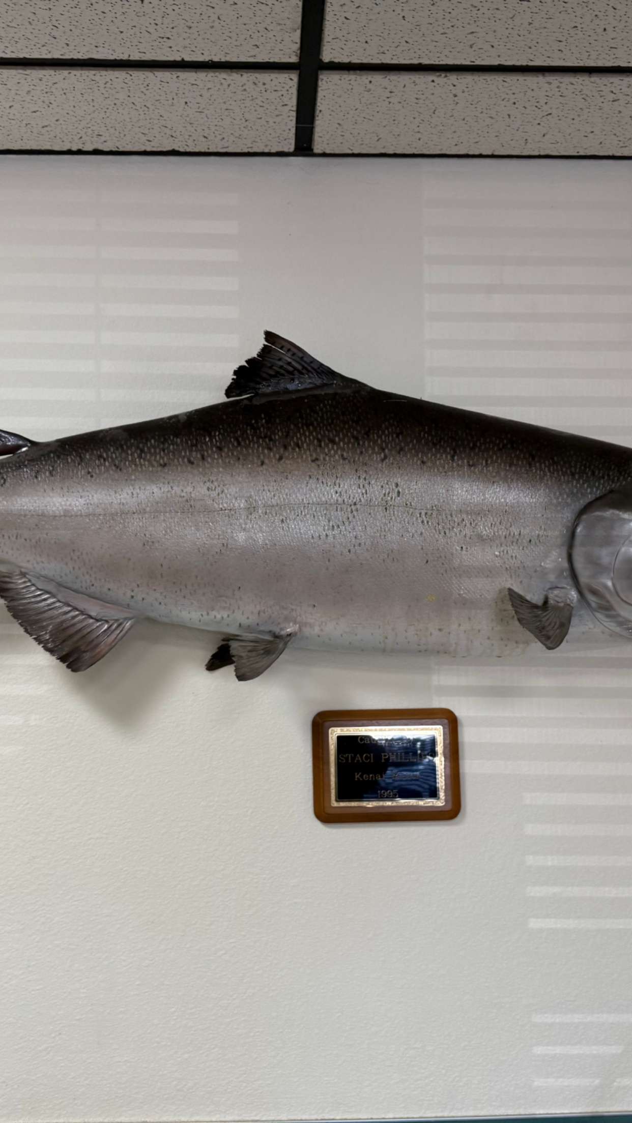 realhaylujan snapchat image archive image