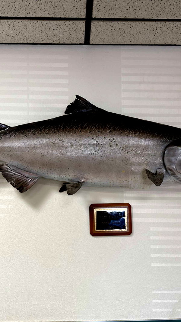 realhaylujan image ~ Altpins