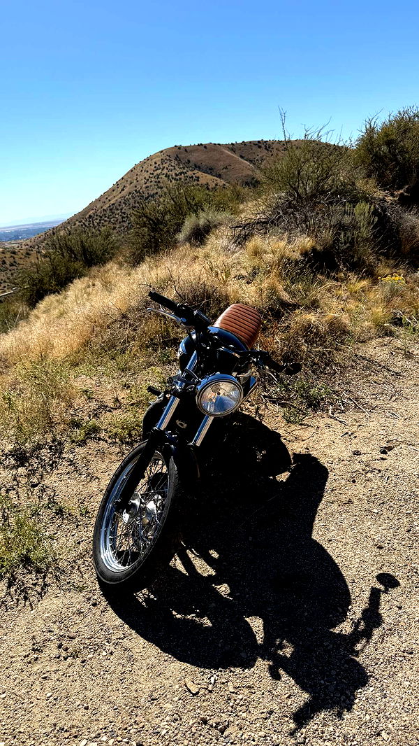 realhaylujan image ~ Altpins