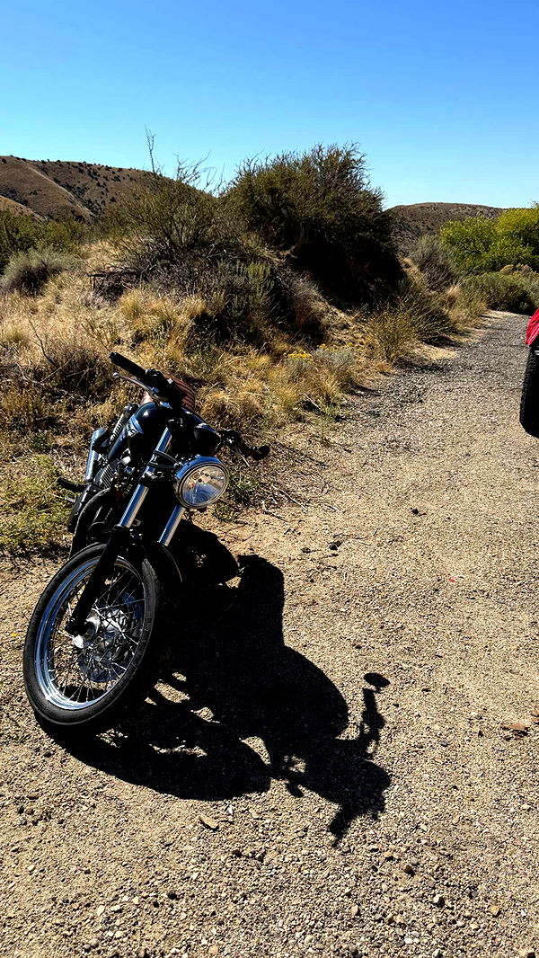 realhaylujan image ~ Altpins