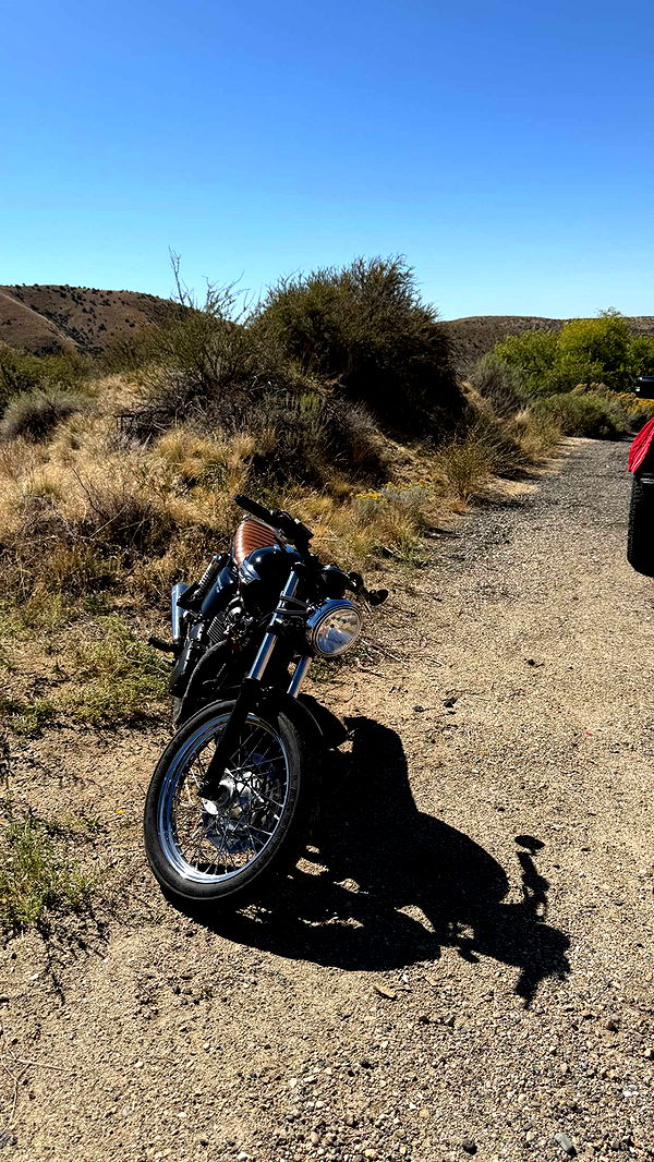 realhaylujan image ~ Altpins