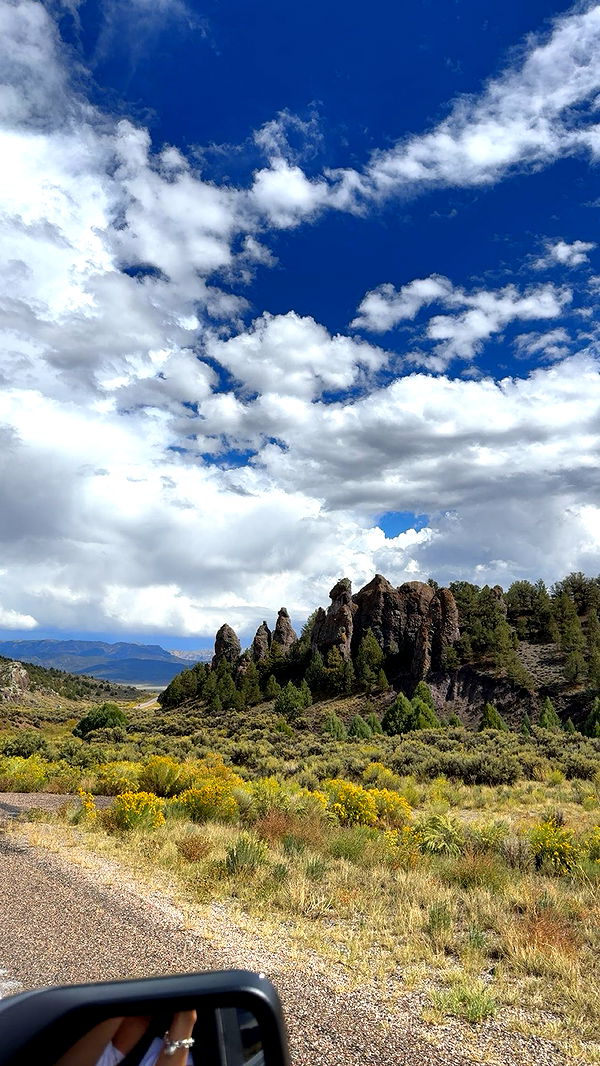 realhaylujan image ~ Altpins