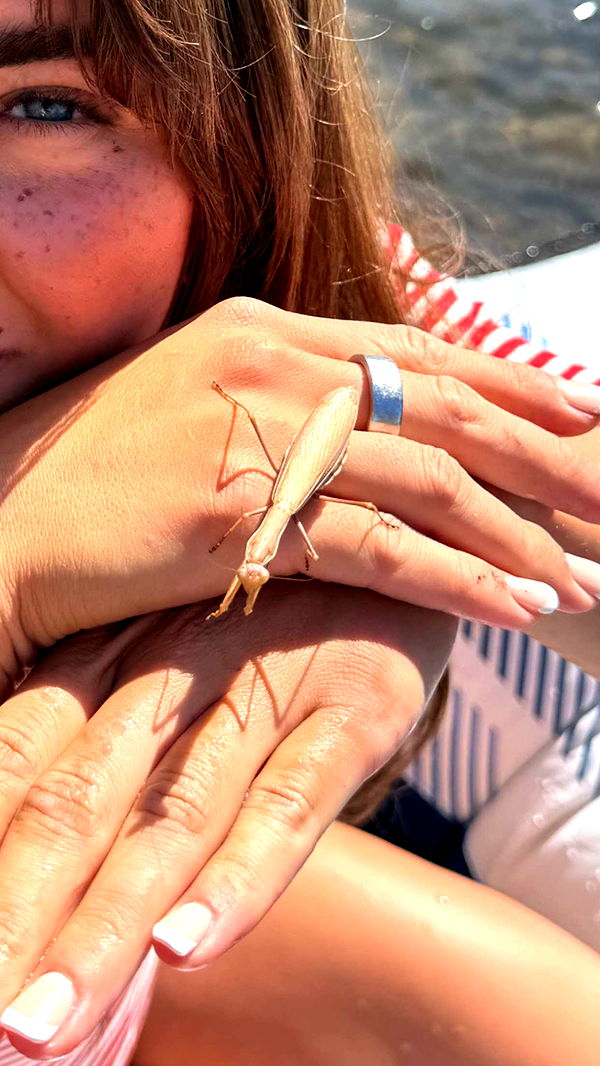 realhaylujan image ~ Altpins