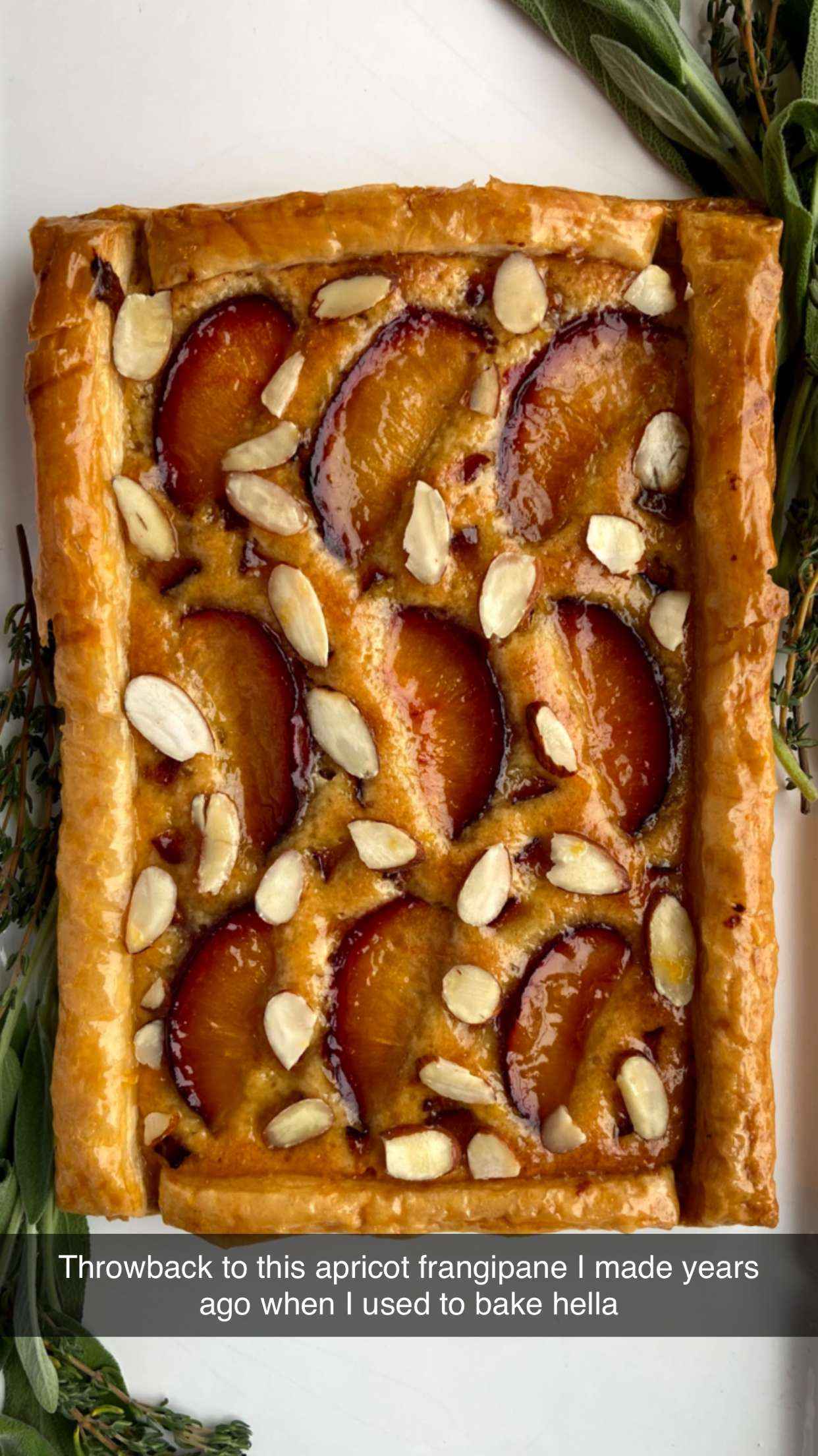 realhaylujan snapchat image archive image