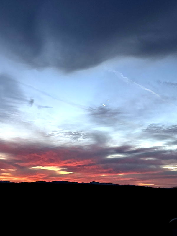 realhaylujan image ~ Altpins