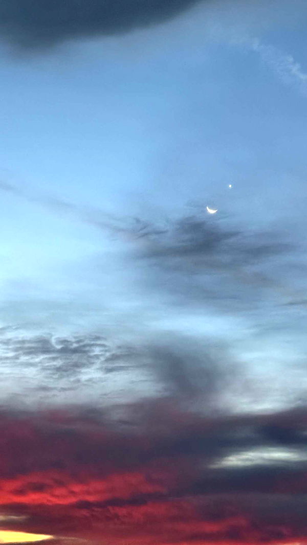 realhaylujan image ~ Altpins