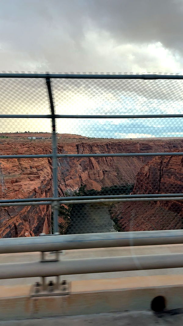 realhaylujan image ~ Altpins