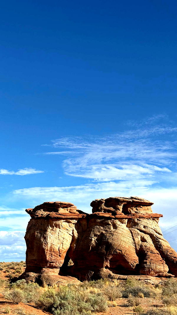 realhaylujan image ~ Altpins