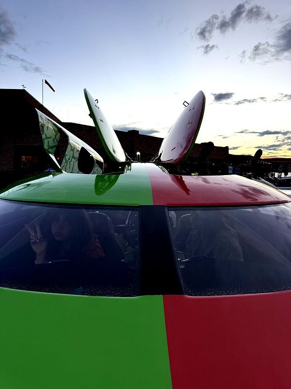 realhaylujan image ~ Altpins