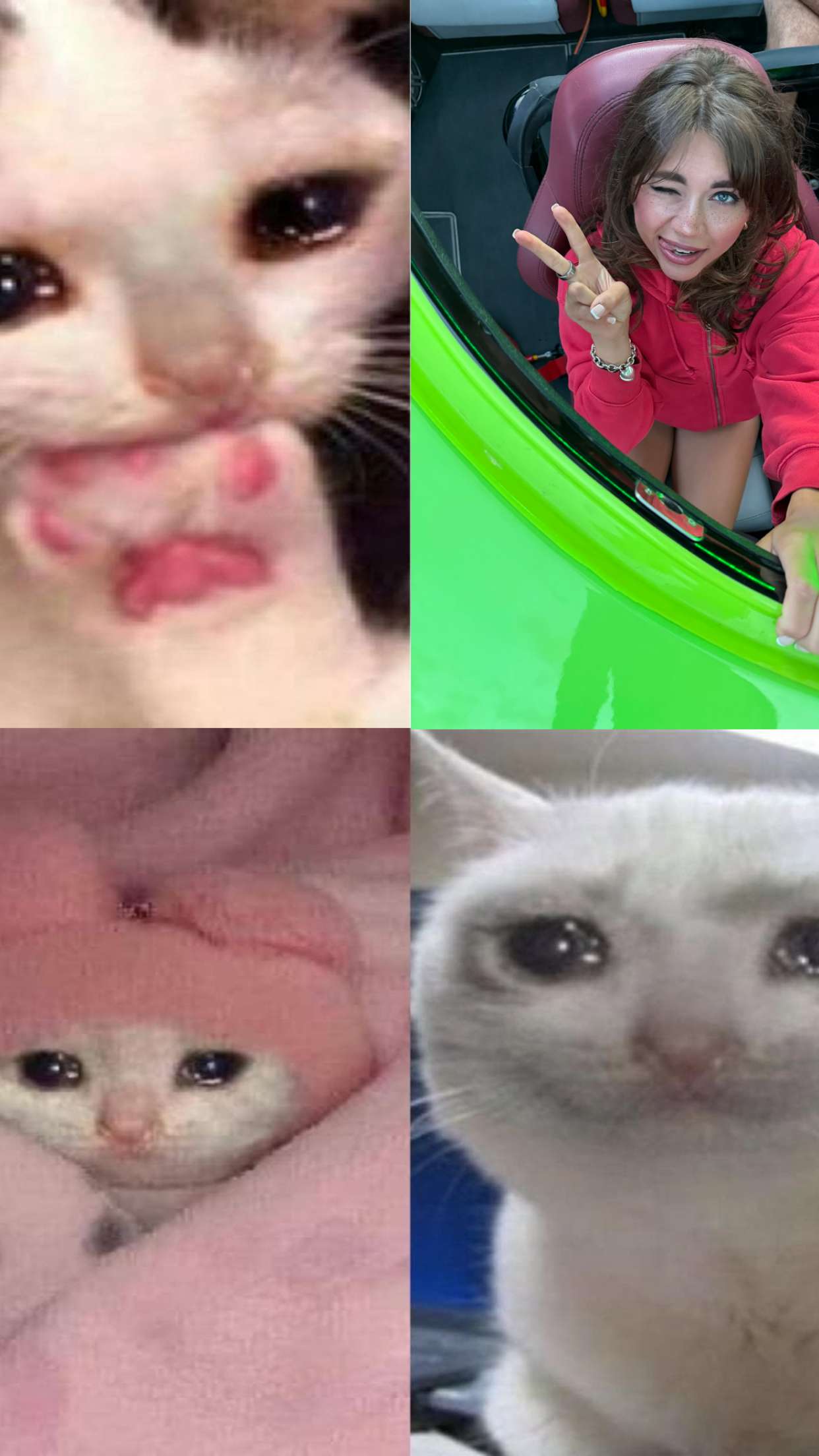 realhaylujan snapchat image archive image