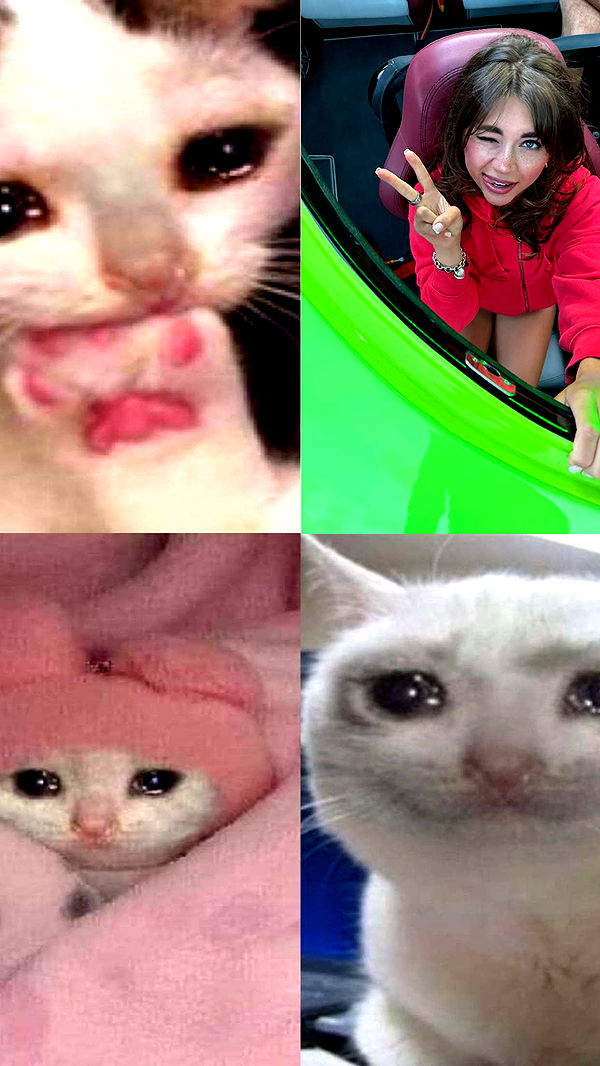 realhaylujan image ~ Altpins