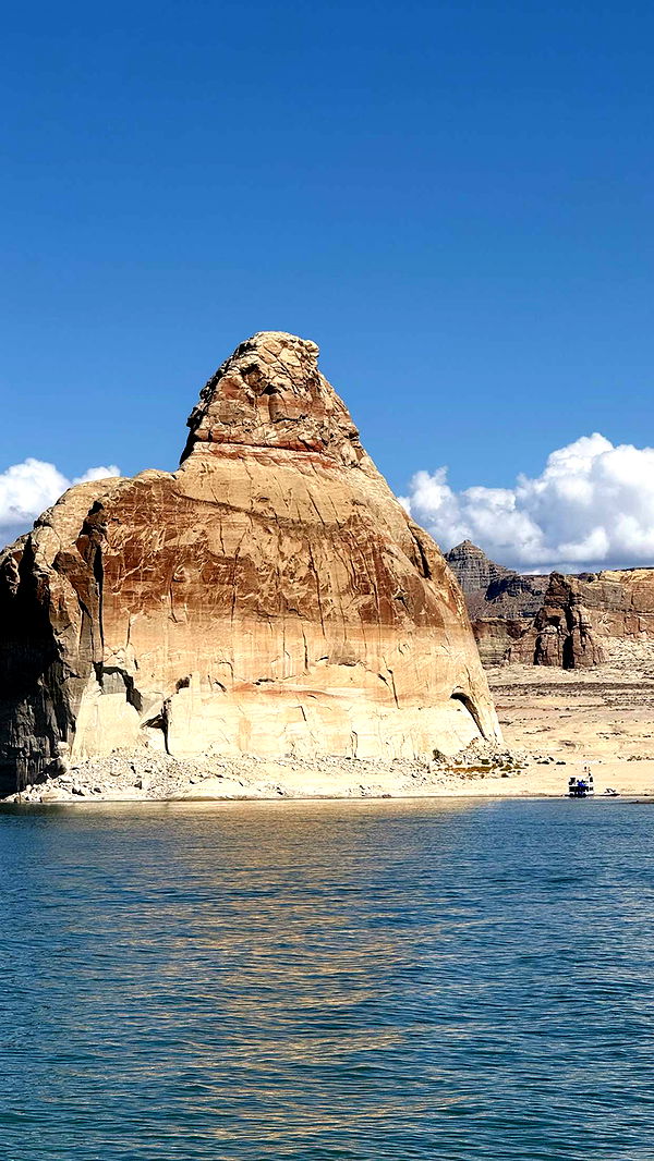 realhaylujan image ~ Altpins