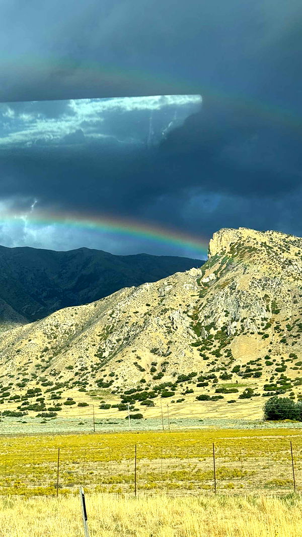 realhaylujan image ~ Altpins