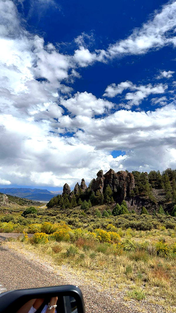 realhaylujan image ~ Altpins