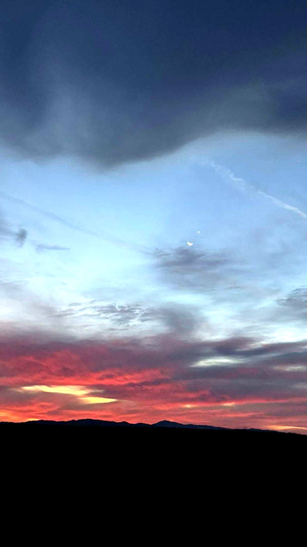 realhaylujan image ~ Altpins