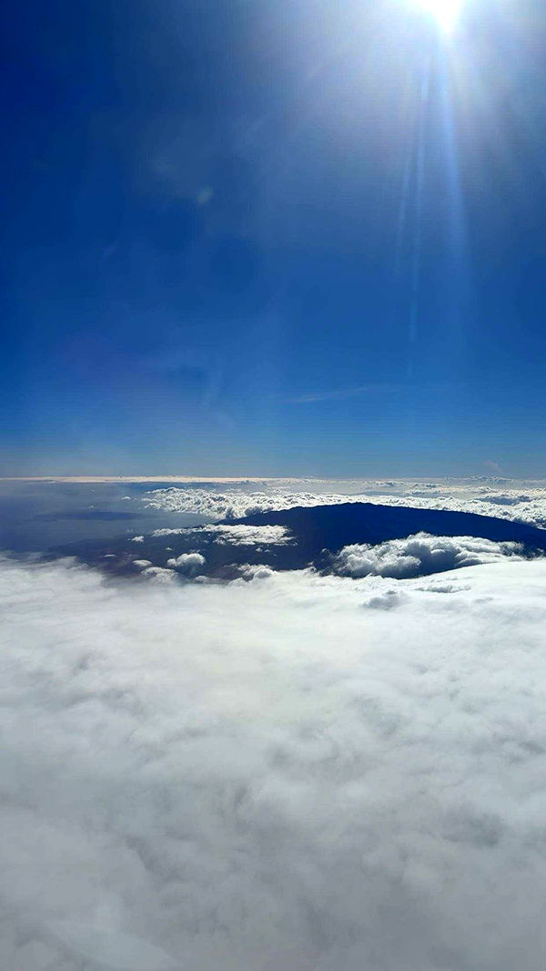 realhaylujan image ~ Altpins