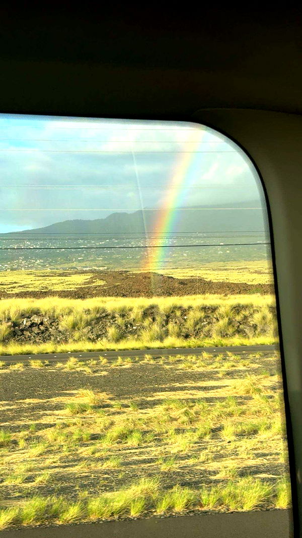 realhaylujan image ~ Altpins