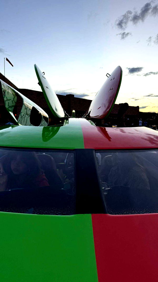 realhaylujan image ~ Altpins