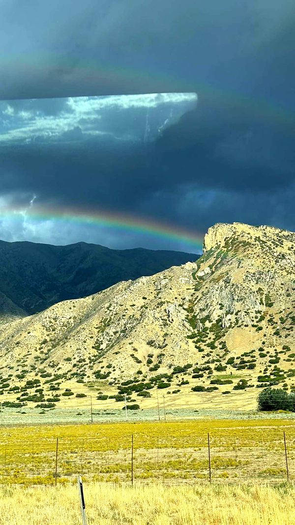 realhaylujan image ~ Altpins