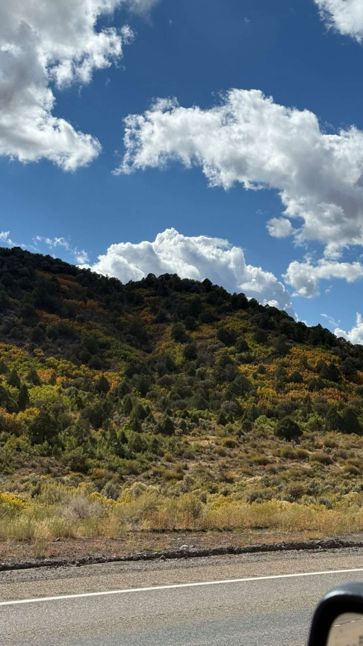 realhaylujan snapchat image archive image