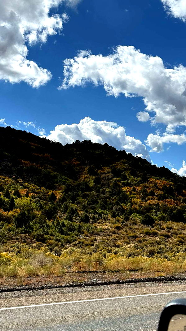 realhaylujan image ~ Altpins