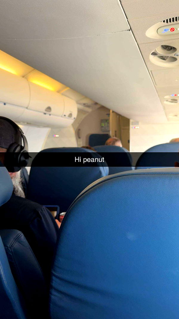 realhaylujan image ~ Altpins